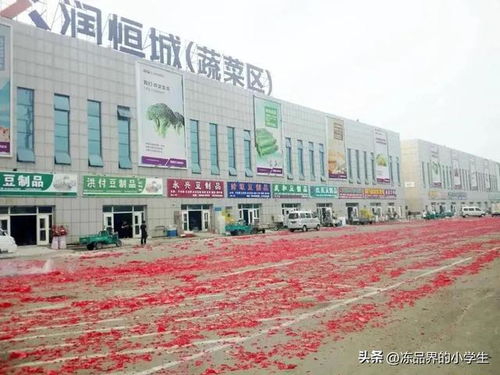 河北省冷冻品批发市场全集