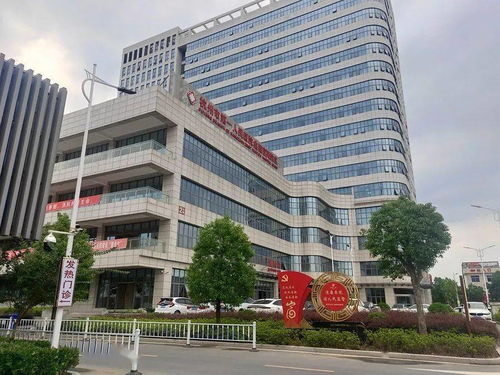 富阳区第二人民医院医共体党委 站好岗 担好责 带好头,党建引领可持续发展