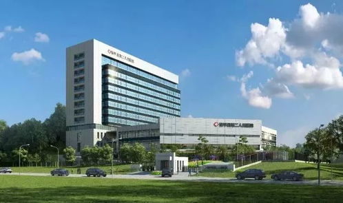 新丰镇委书记谈新丰 脚踏实地推动新丰高质量发展