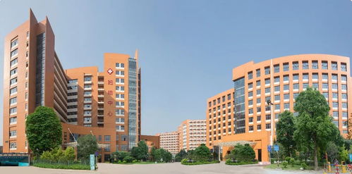 小榄人民医院妇产科成功举办会阴伤口缝合技能培训班