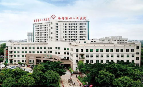 南海四医与邵阳市第二人民医院联合恭祝元旦快乐