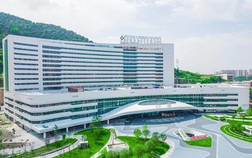 最高补助107万元 四川达州一家医院引才福利待遇引关注