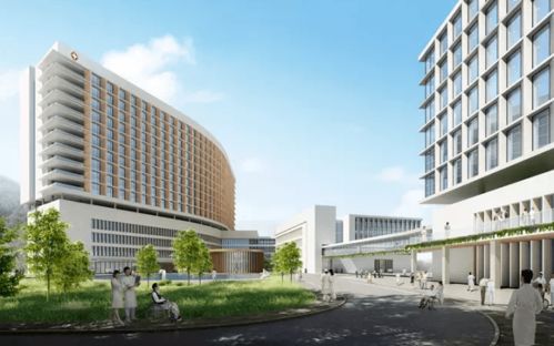 十里东岸江语城限量特价房，买房送车位，邵阳市第二人民医院医疗配套加持